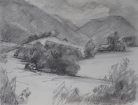 Cliquer pour agrandir