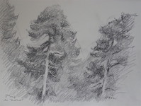 Cliquer pour agrandir