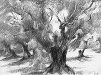 Cliquer pour agrandir